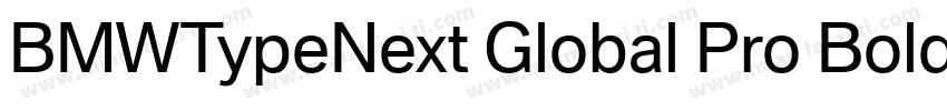 BMWTypeNext Global Pro Bold字体转换